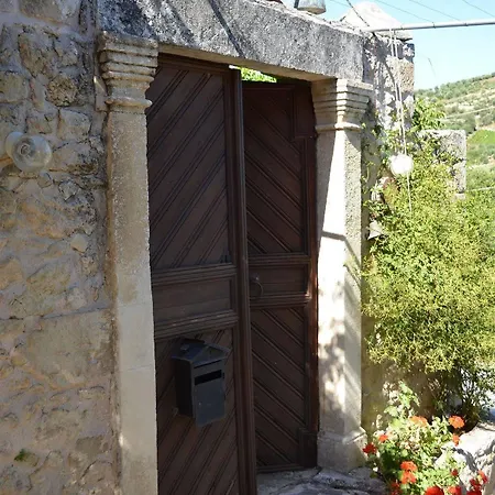 Viglatoras Daire Sárkhos